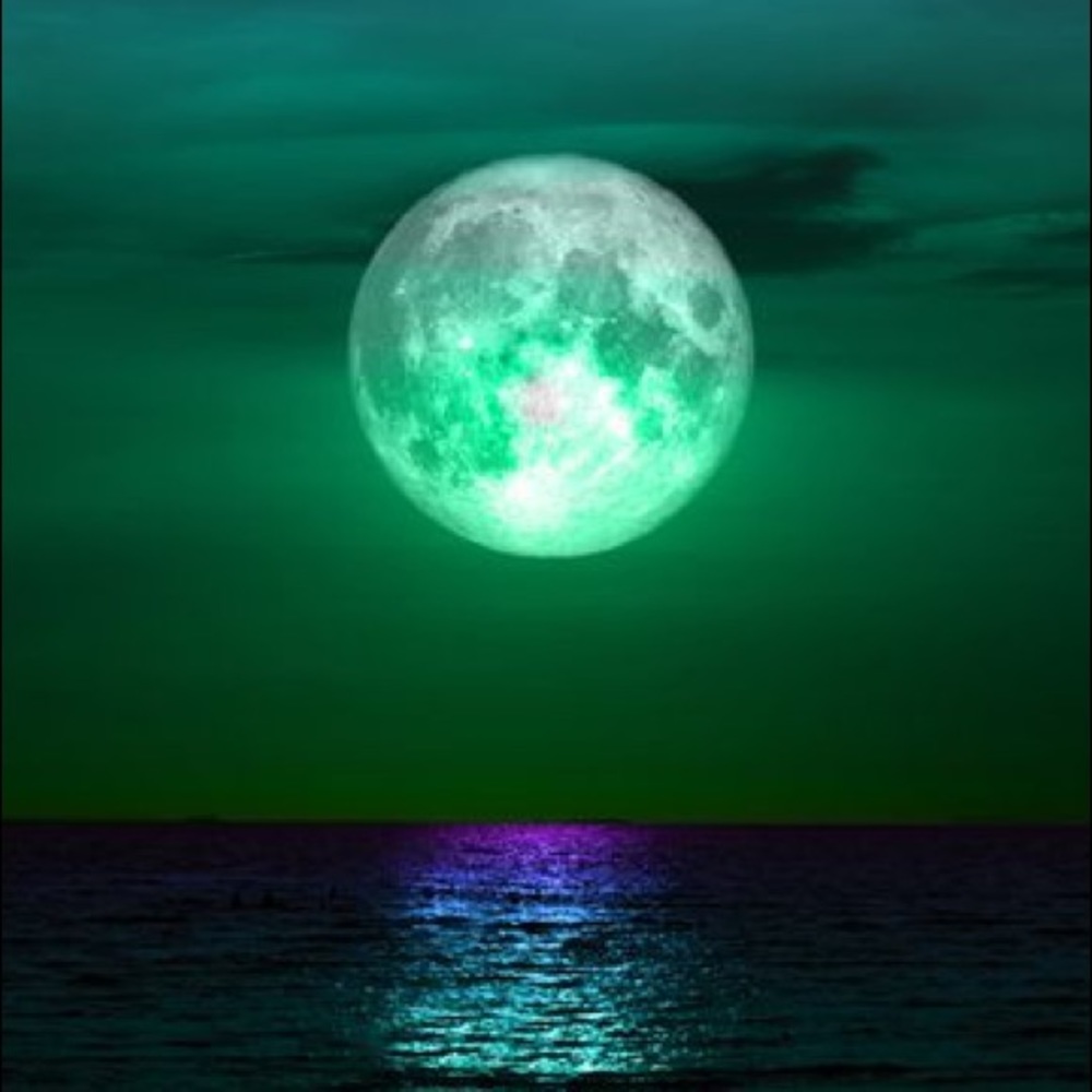 Meet your Posher, Susy